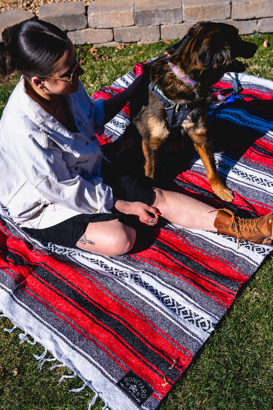 Person sitting on a colorful blanket with a dog, both on grass.