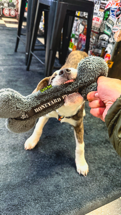 Pet Toy