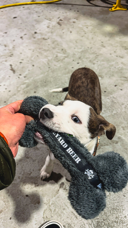 Pet Toy